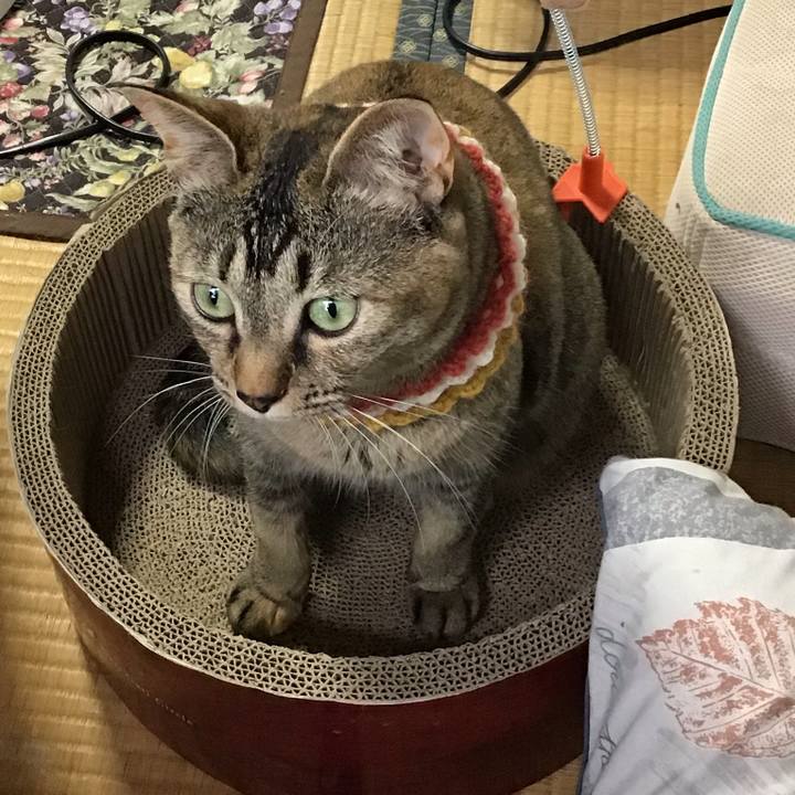 9b437742 900c 478a 96e6 90ead0265681 1622788768945