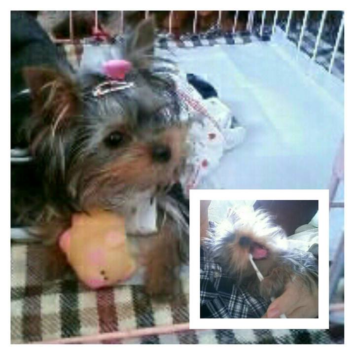 9b4390c6 62b6 499d baa3 c9fdf922a186 1535326557589