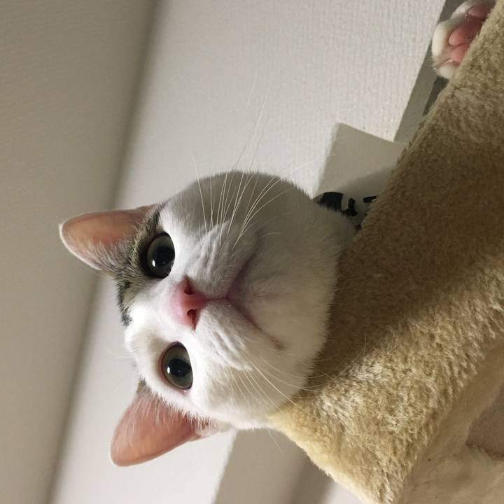 9b43a687 c240 4d1a bee9 d7ec0ab15334 1517707980337