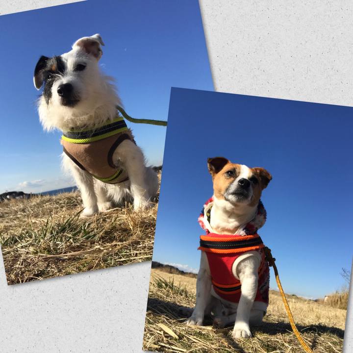 9b43b30e e859 4866 bf5f 7dfb5a9bb671 1518050418731