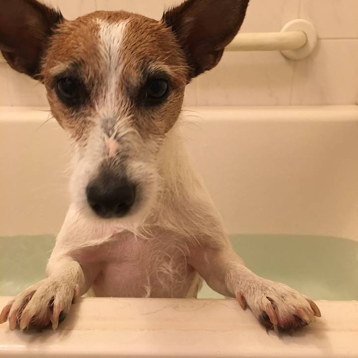 9b43fc48 4f30 4ad7 8b25 ad02dc3a4880 1558347258107