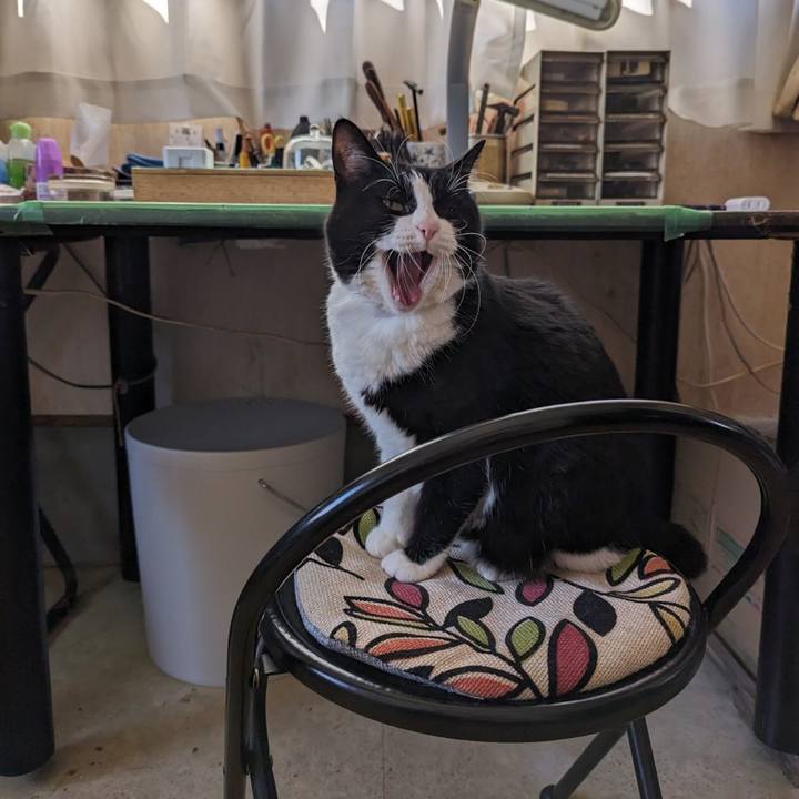 9b442558 ea32 4862 817c af62c169fa85 1708400377158