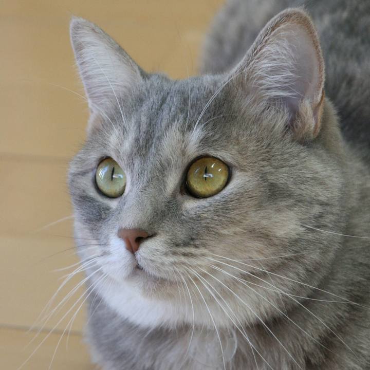 9b443f91 32bf 4752 a373 86cae18f400b 1532687480007