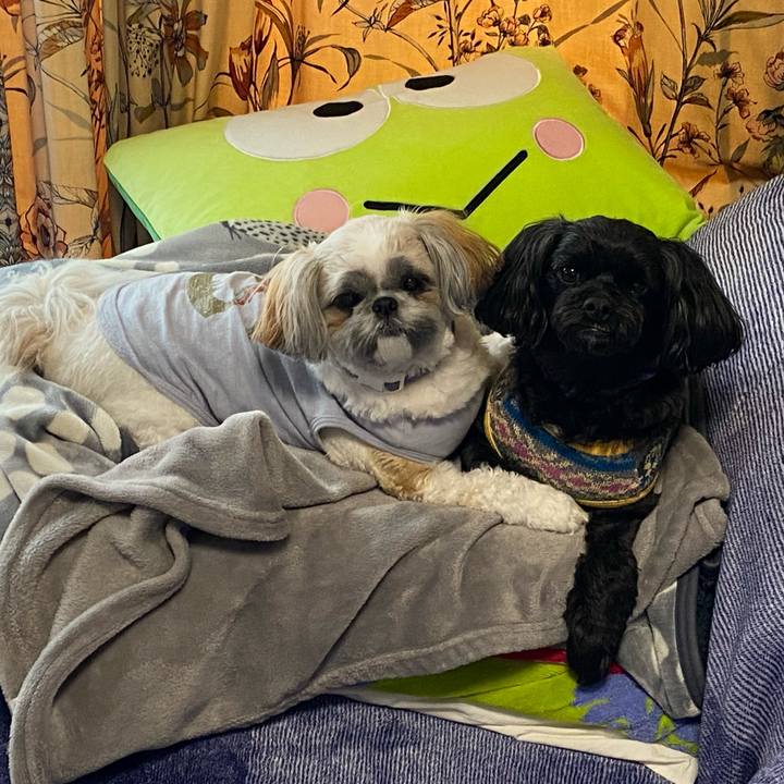 9b445c73 5a17 4bac 9d1d 43abcb4fee4d 1670553132981