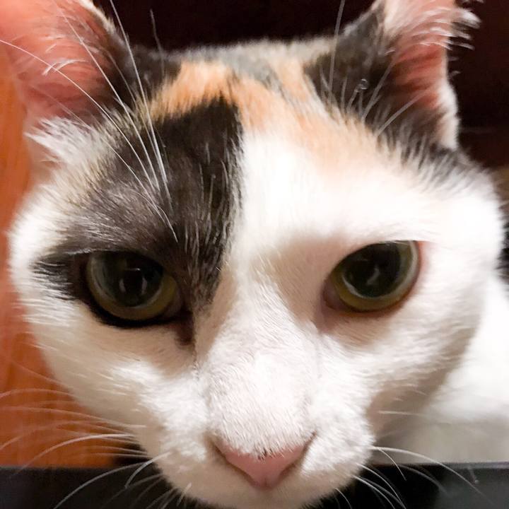 9b44aa7e 5f8d 4463 aabe 1e599cfbff55 1530971257145