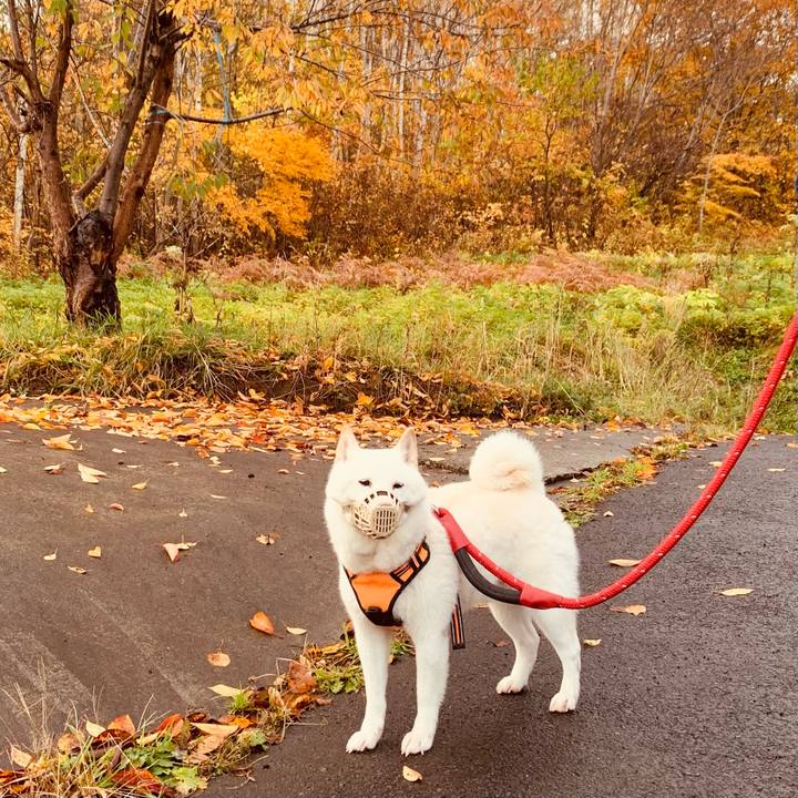 9b44ac81 abce 49e2 8af6 ad6aa27b40cf 1667084776215