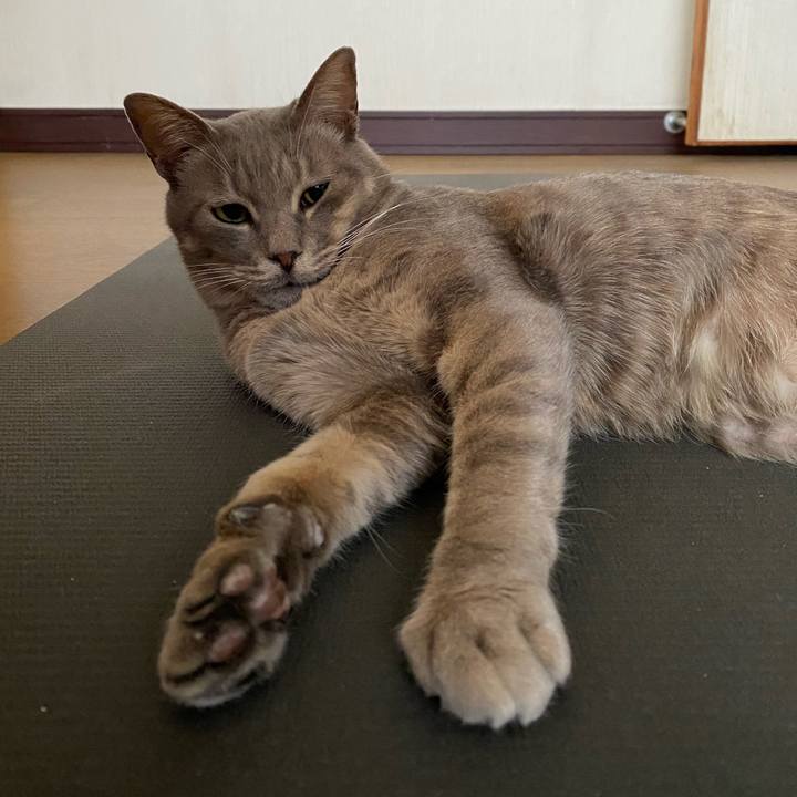 9b44bc48 b066 4ba4 a4fe f718c9616836 1581899269267