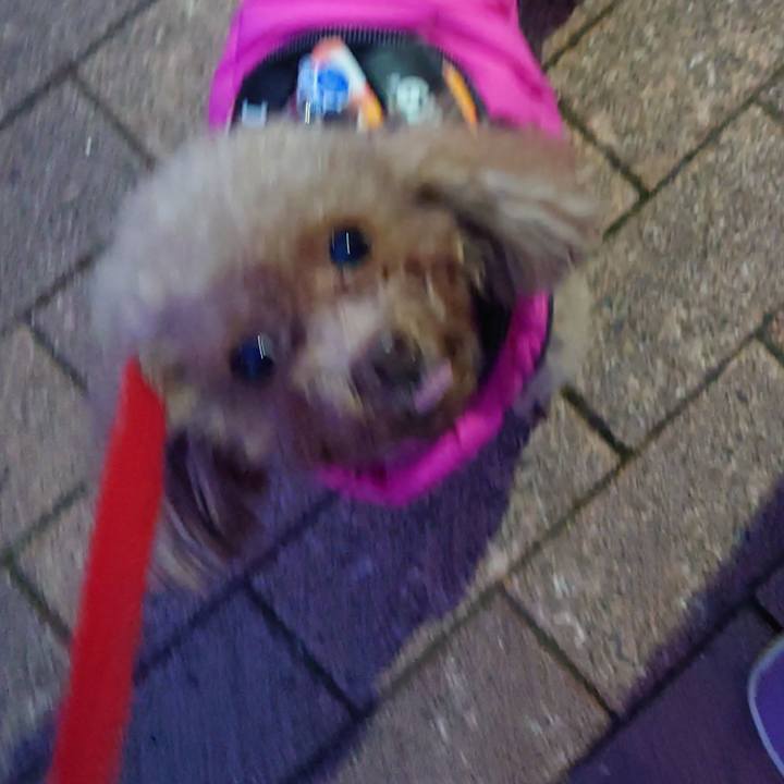 9b44e44b 0443 41f6 b1f3 aa280e5287f9 1744071972771