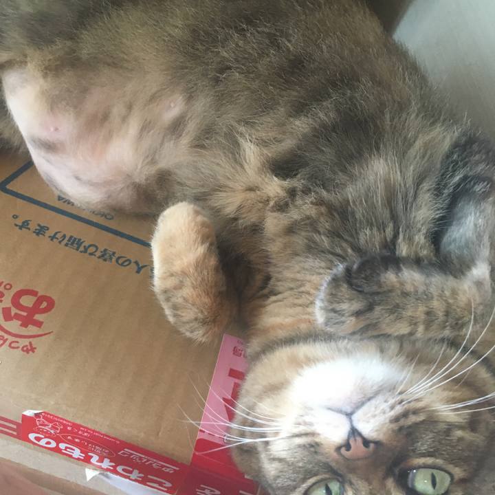 9b44e48e 3802 4937 bdde 97a824503ed1 1628463333720