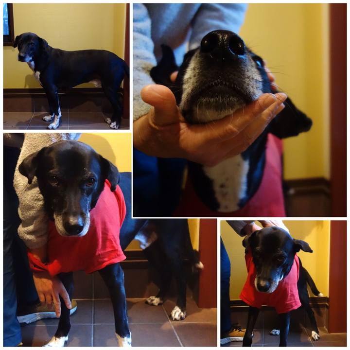 9b45564a 6329 4758 99db 8230947a16d4 1734567380284