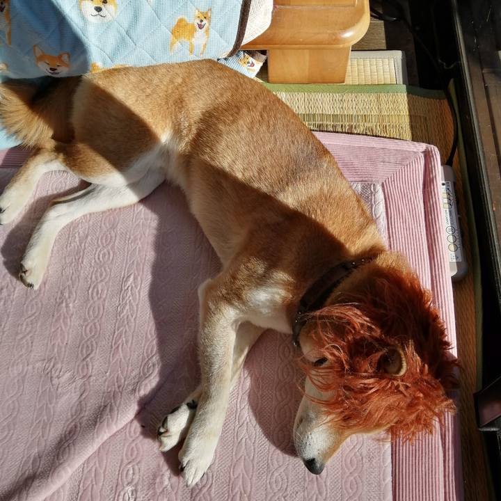 9b4569c3 7e6c 4fc5 8f36 41b0ed0c97e1 1674883721000