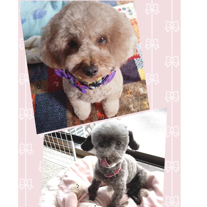 9b459142 0b23 4043 a88c df75e0c30ebb 1698303937769