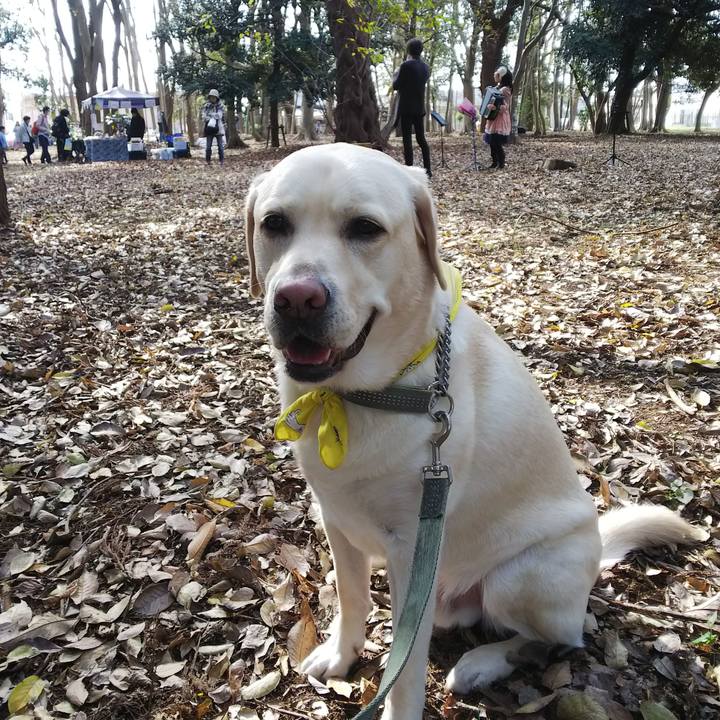 9b45d16d 5bf7 4504 8233 030090a3e856 1542511036679