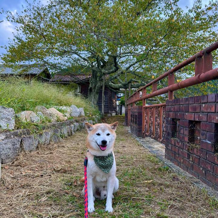 9b45ef1a e53a 4283 9dbe c27a7e41ae5e 1758454071394