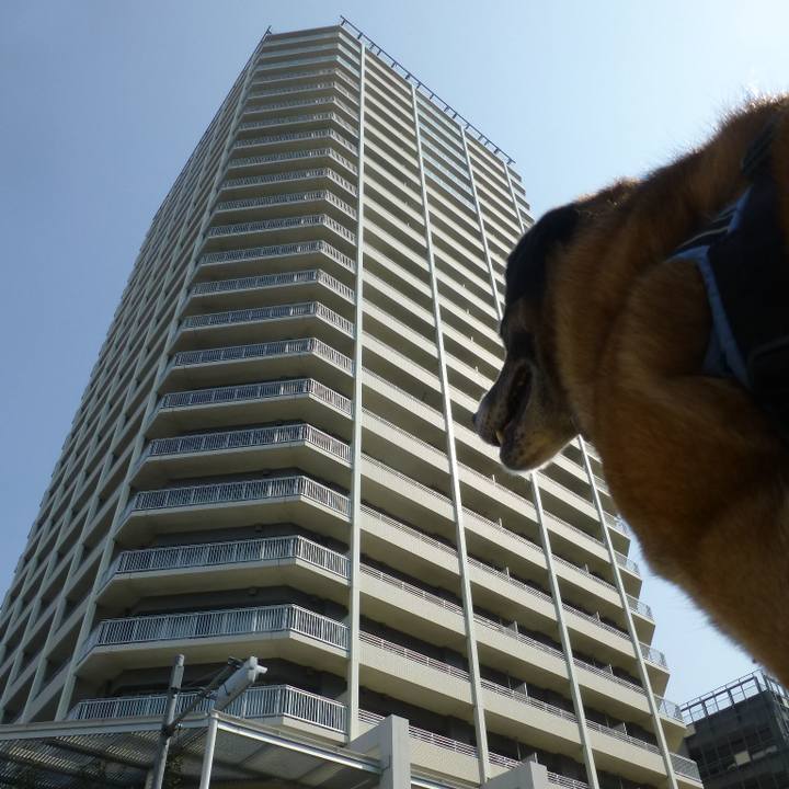 9b460d63 b866 4e40 a26f 19b73c030197 1579687570559