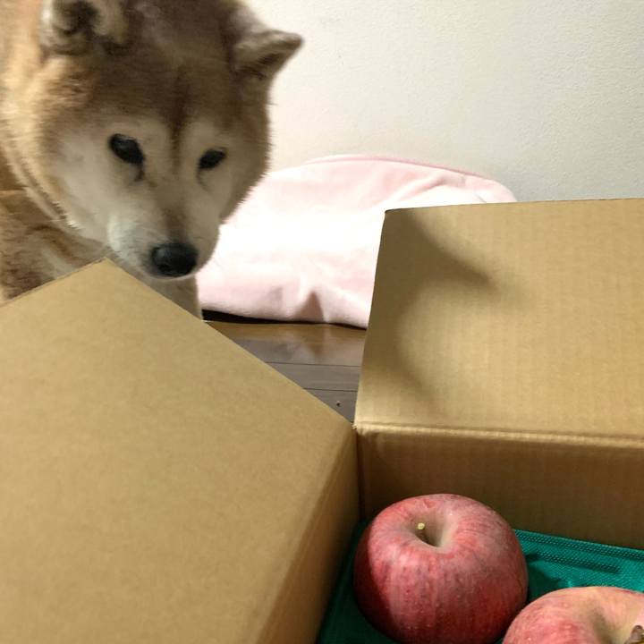 9b461f93 07c9 4281 b7ed fcd137392621 1639561453859