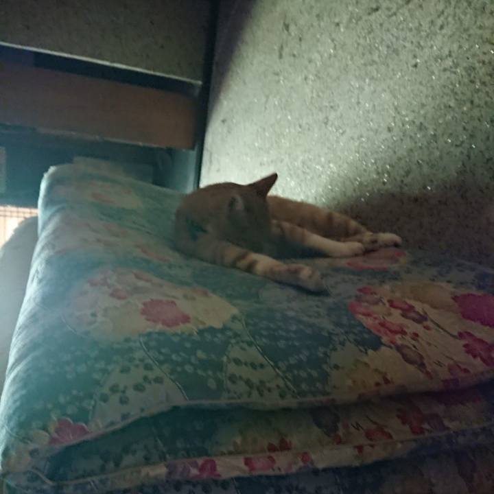 9b465357 159e 4504 a786 a5037d2f41cf 1598417868240