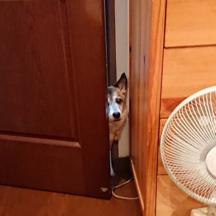 9b4686c7 5bf8 4f62 b58b 6350ed808466 1594374336375