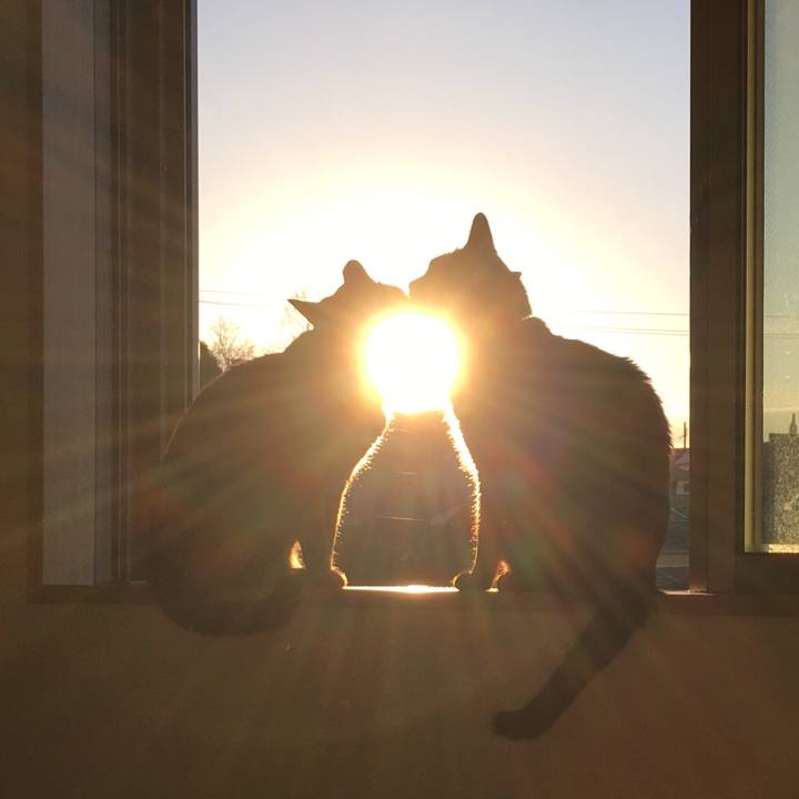 9b473190 2cf9 4b7b 9b02 5ebe9abec00e 1514861955026