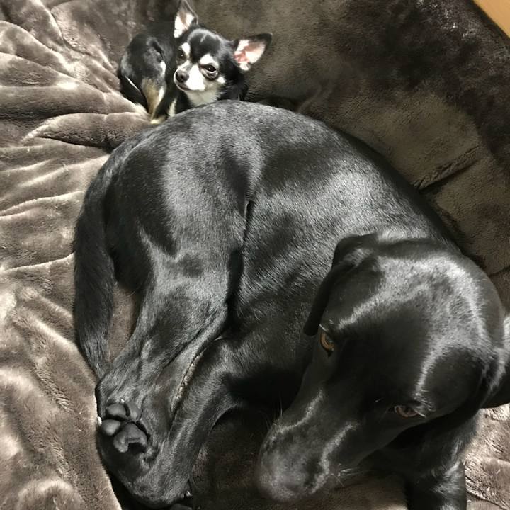 9b473483 39d3 4ba5 be2d 90ccfffea06f 1518910254318