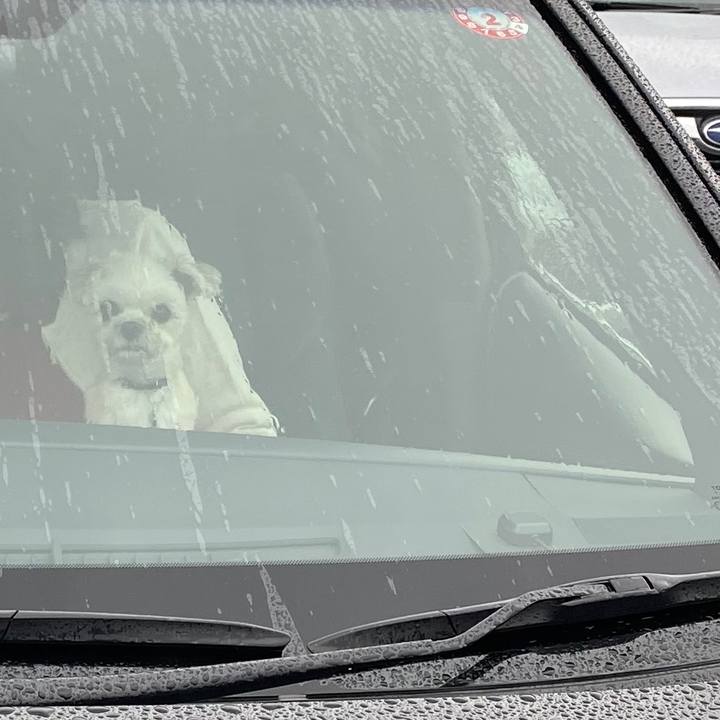 9b474468 e210 4913 b08d 41e6047c8cd2 1574411844441