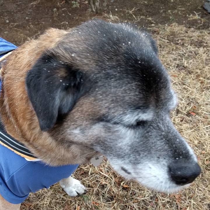 9b475f0d fc5d 4d69 8d67 bc58777360e8 1519259011605