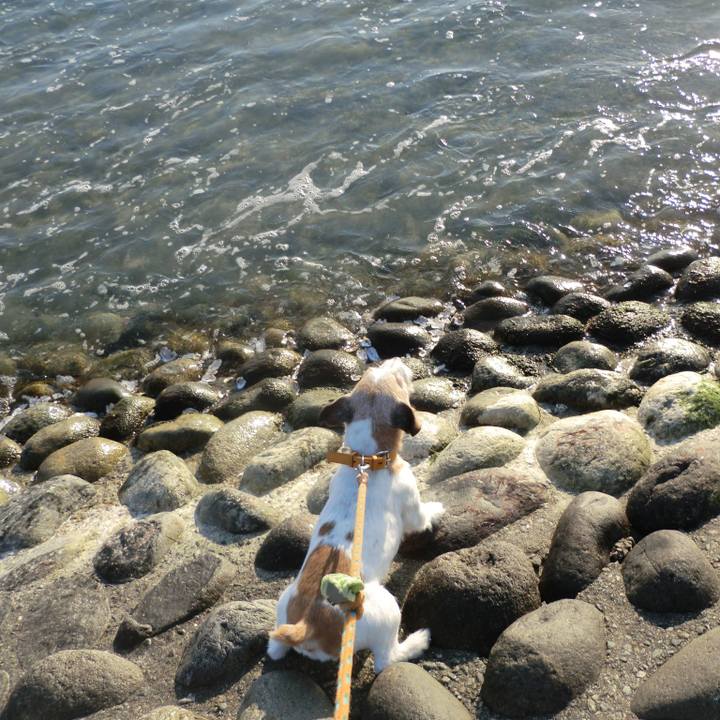 9b4793fc 4e67 4a2f b23a f0ed0be1eed7 1551165542585