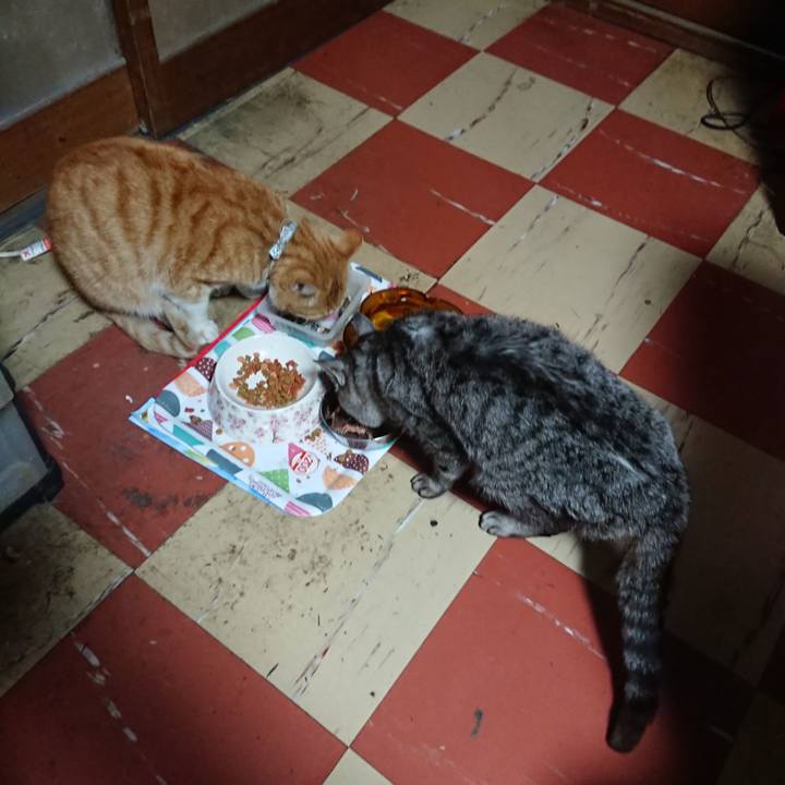 9b47e456 32fa 43c6 8925 5eae56ef4730 1587845661543