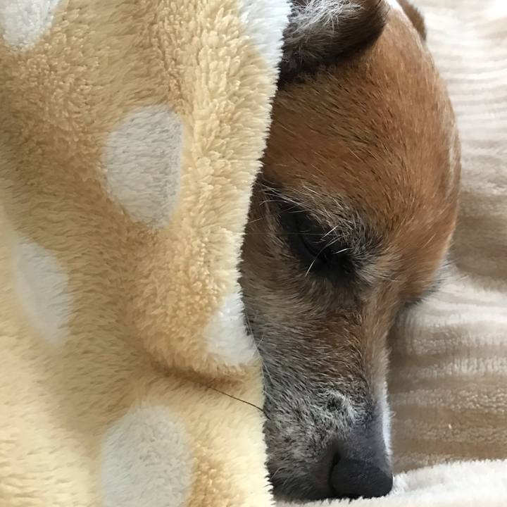 9b480551 1cd5 4e5b 9413 34e2e4199477 1550236913188