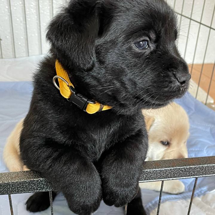 9b480869 2eaa 4fd1 b910 39b01b0f6e74 1627611252905