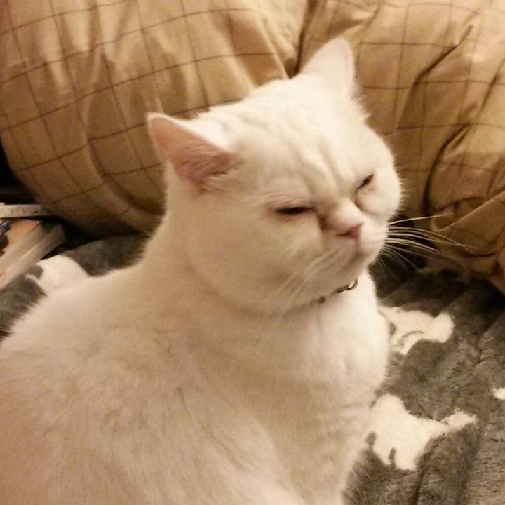 9b481437 7b64 4d16 952b c80d362eac7e 1515539474095