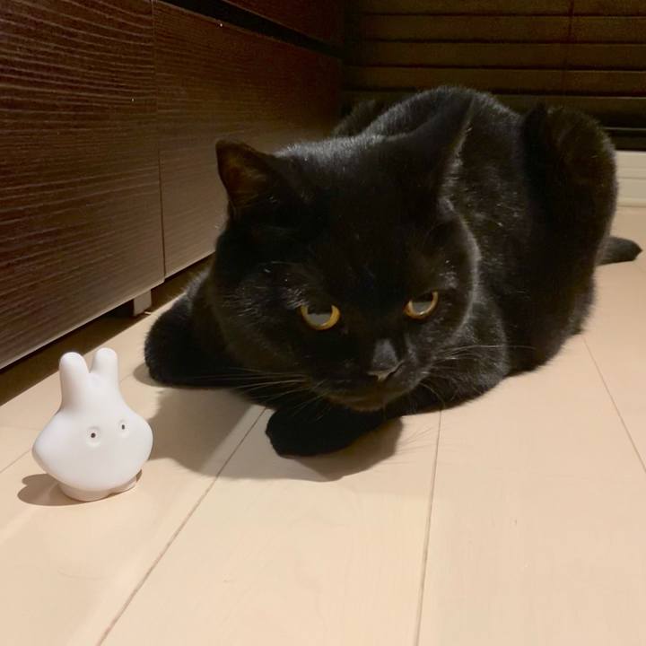 9b4814c8 0857 4df3 9f61 eeab0b4a8f70 1686661843429