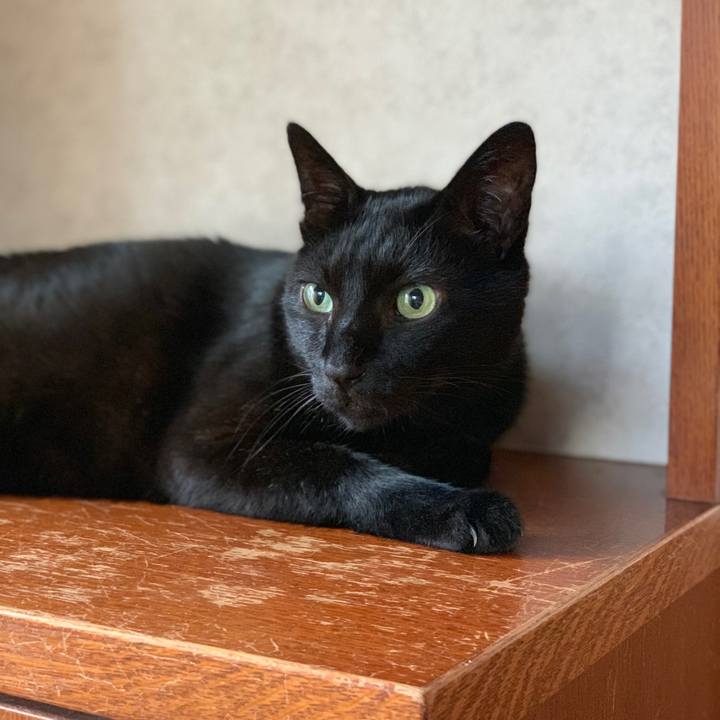 9b48421e 60c8 4ec0 93cc 975b1e89dfd8 1564966297247