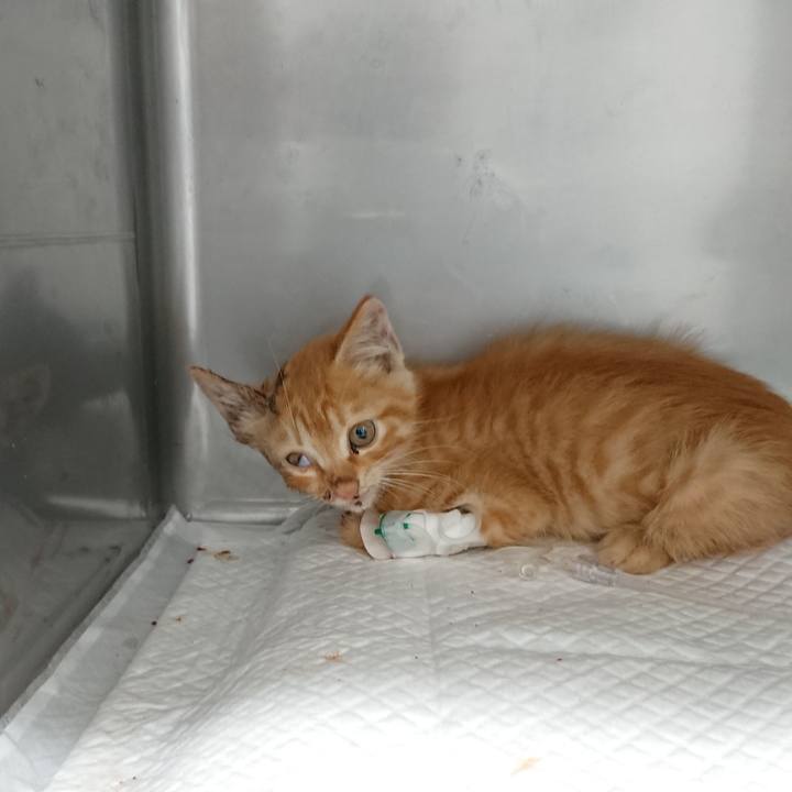 9b48467b 15d2 4dc7 bb76 adb2952475f9 1627378250404