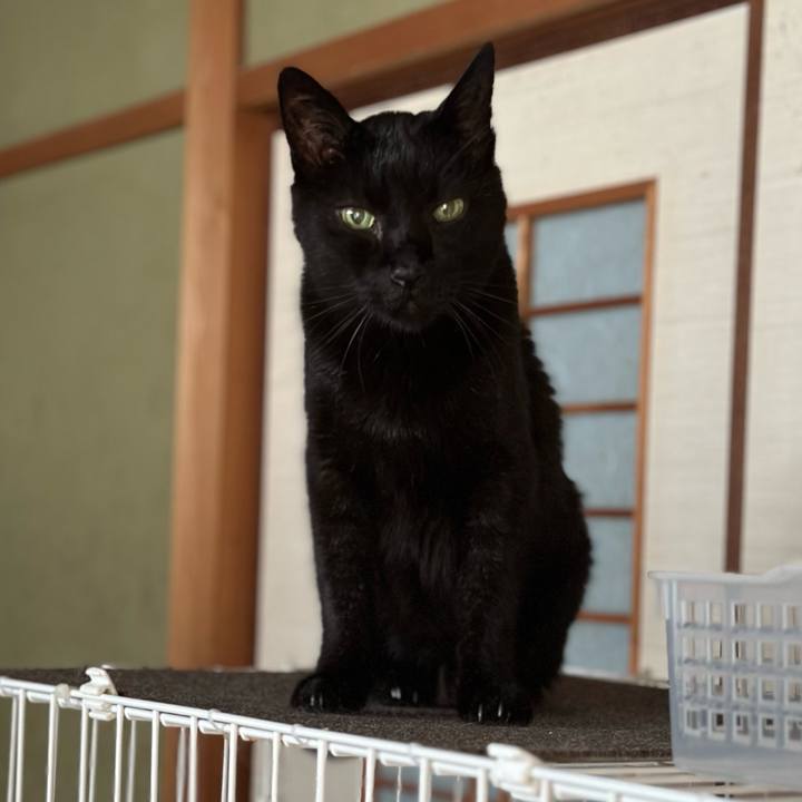 9b484b89 6b9e 445b 83b6 5021350e02ba 1694654933434