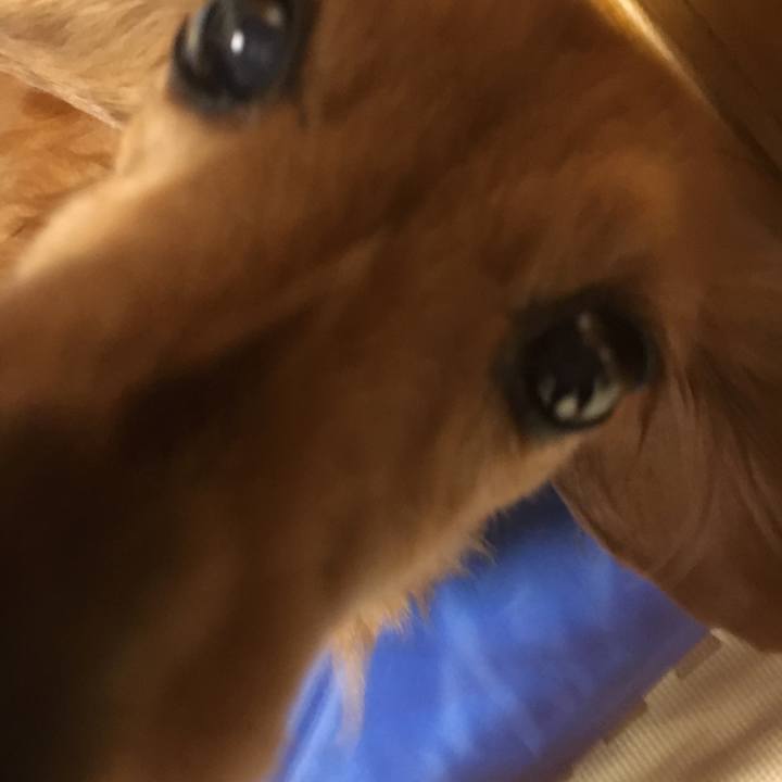 9b486277 5dab 418a a8f8 8d54513958e9 1569072182492