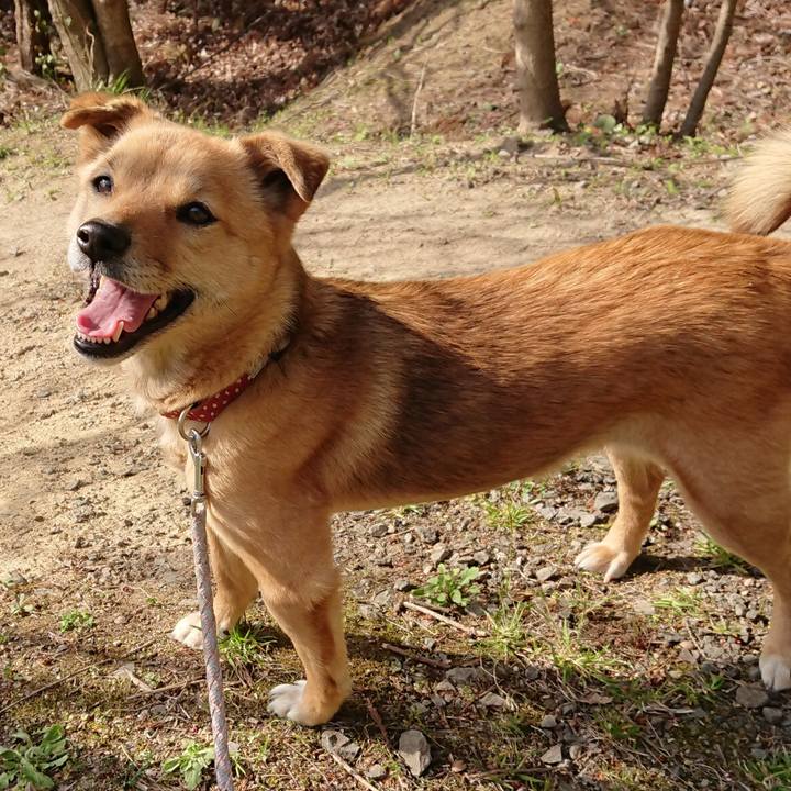 9b48e42f 9db0 4487 82cc 0074844af447 1633614802891