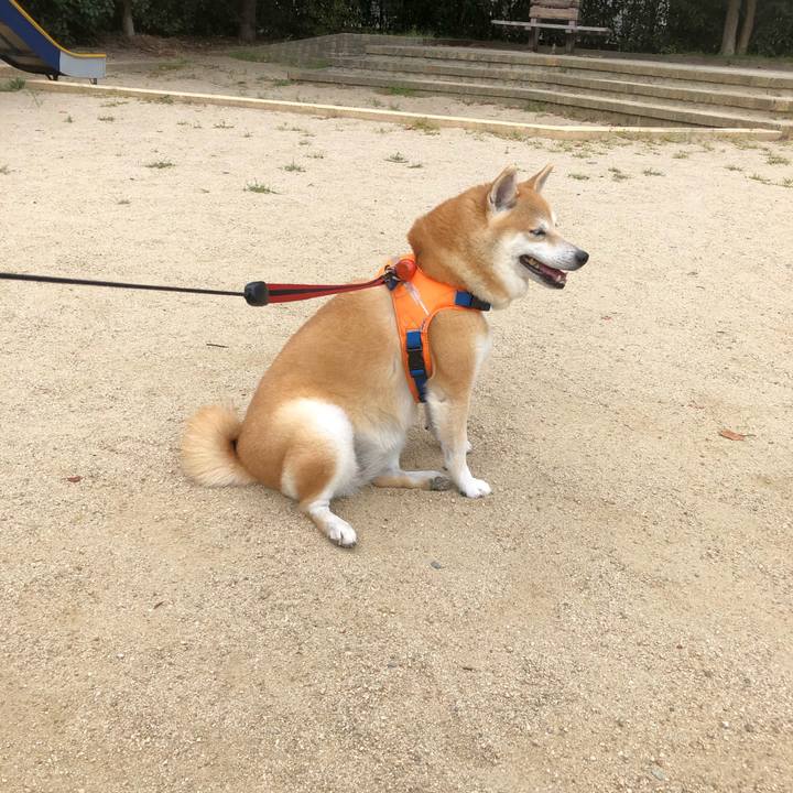 9b48fe3c 48a8 4877 8a2b 0288f4b4dbc2 1570157844045