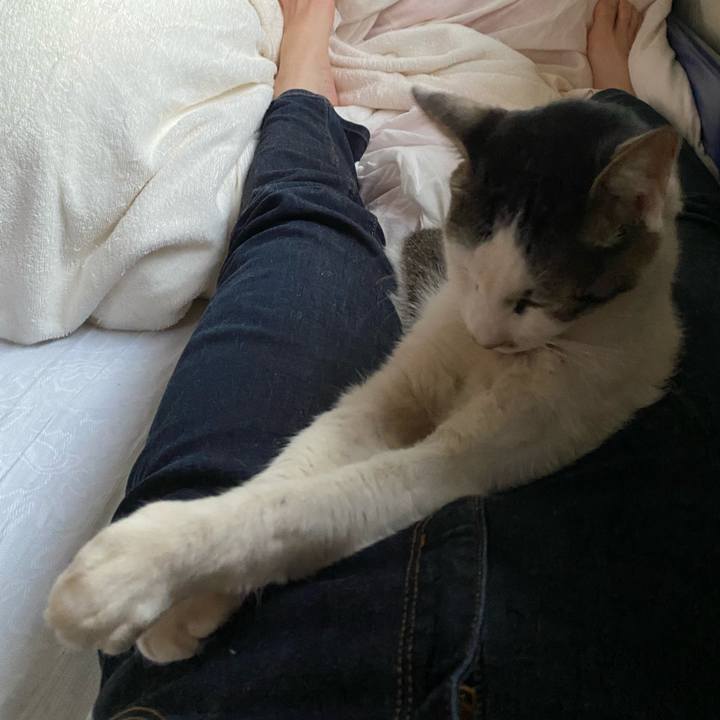 9b49042f c07f 4de6 a15f 0d773c07a545 1622452927184