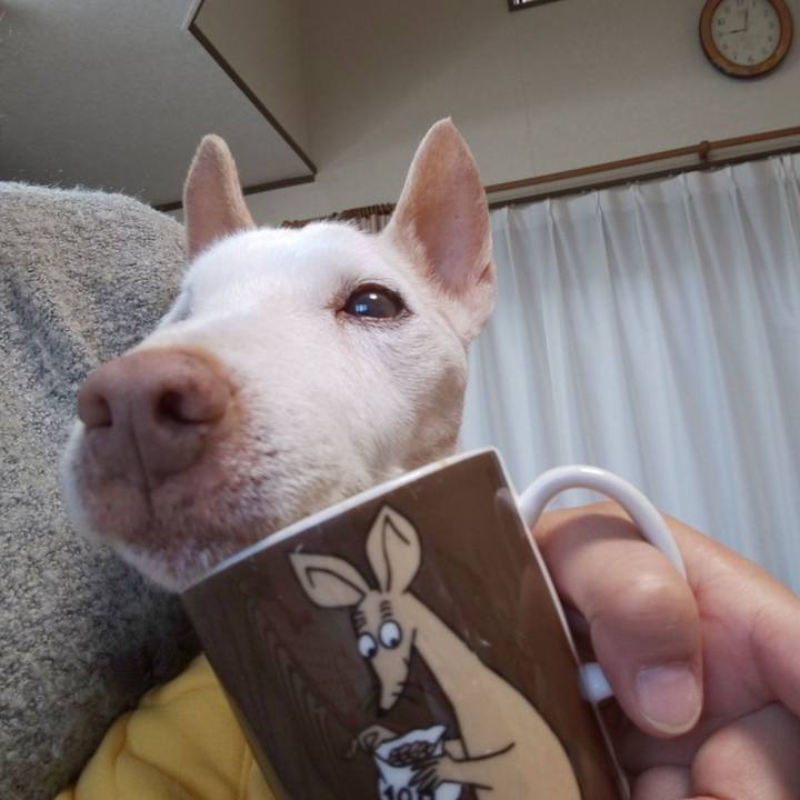 9b4909a4 5dfa 462e afcc e6a3863d955b 1574296064847