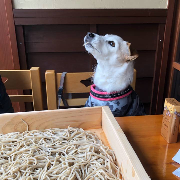 9b491464 ebda 41c3 ad20 233c993c9e65 1556628371343