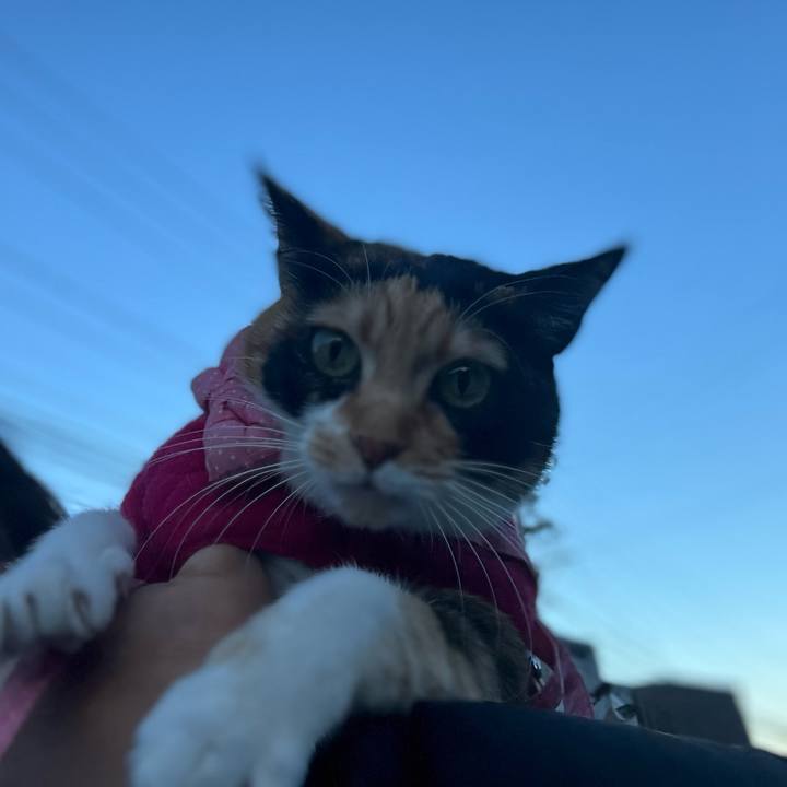 9b493ed2 b593 45f2 b828 69709a73bd20 1674081623111