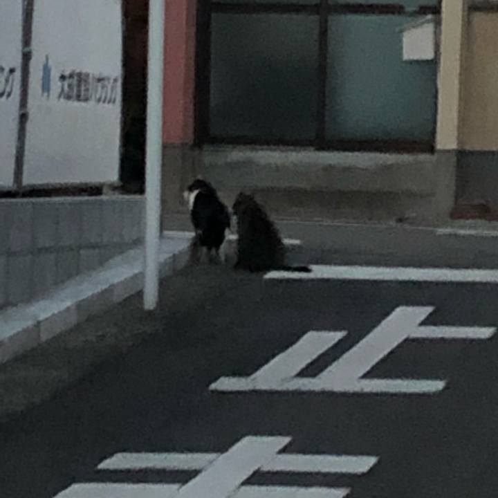 9b497c00 943f 424f 990d 34bd582aca8f 1548154113208