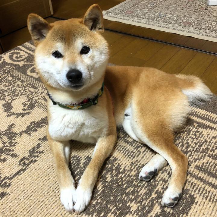 9b499a2b 4379 43d4 941c d35f15ddce30 1523361185336