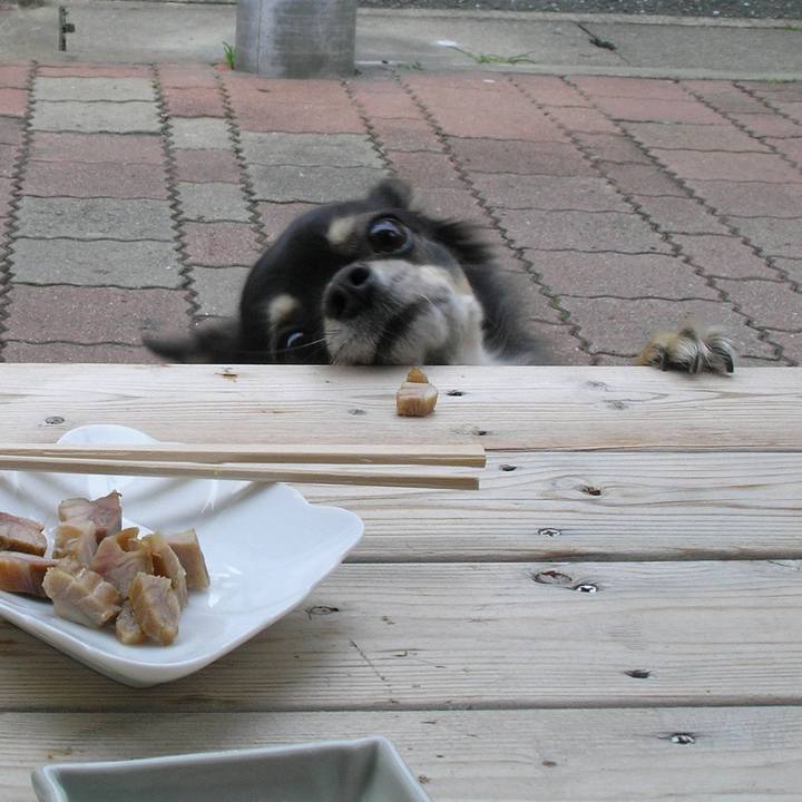 9b49bb47 7167 44b2 a365 ff34caa262ad 1558613636537