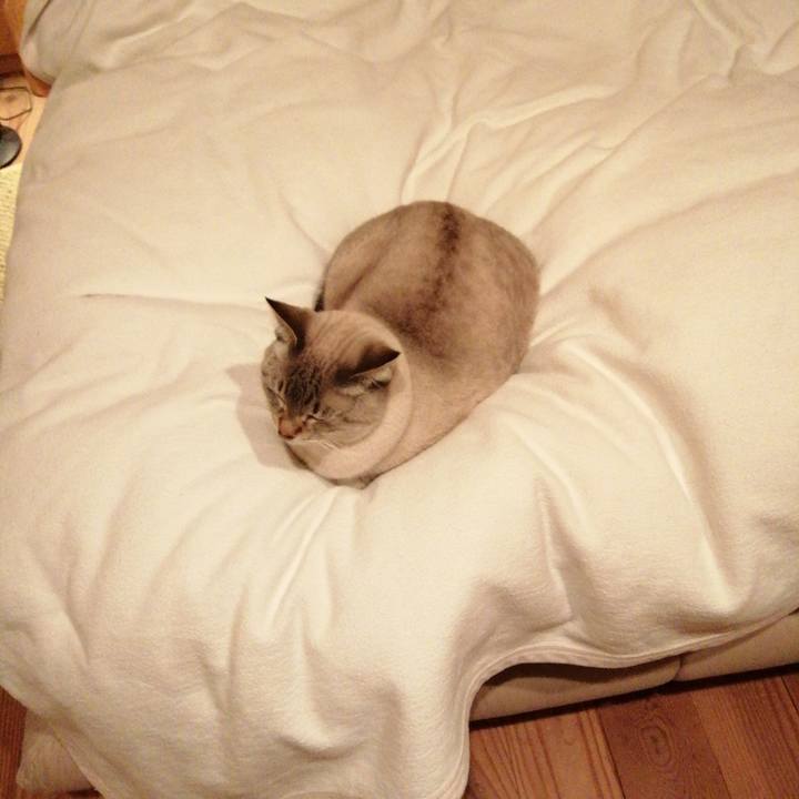 9b49ccfa b9c8 457d a292 fe02615a5244 1765891356795