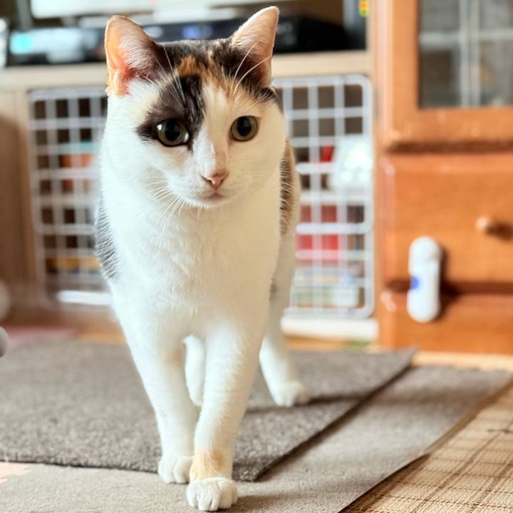 9b49ce6f dd81 408d bb08 5b6b8582c684 1733450580223