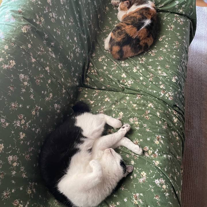 9b49dde6 eee7 4c3f abb0 10353ab74a2d 1688375481932