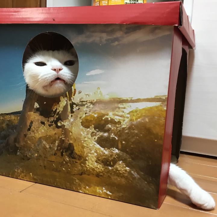 9b4a042f 660d 48d5 a881 141bb40aaace 1563763309975