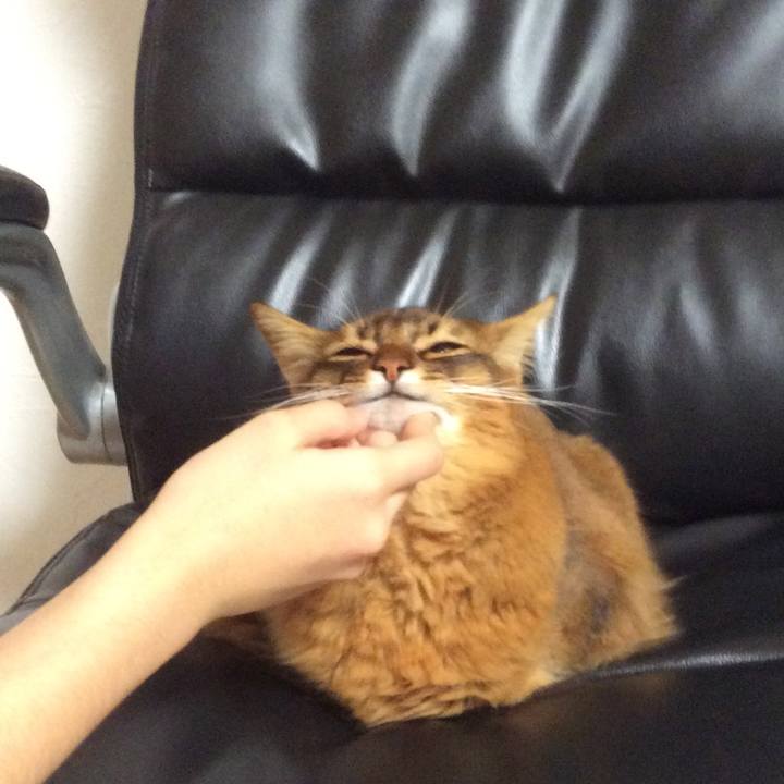 9b4a0953 ac8b 4864 bec7 15f41696452a 1611663577666